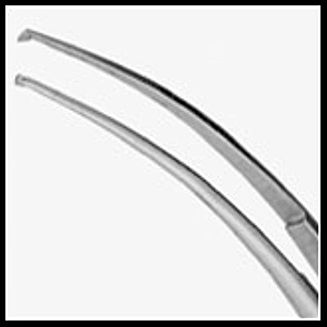 Maloney Capsulorhexis Forcep 