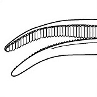 Halstead Curved Hemostatic Forceps 